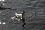 IMG_2839