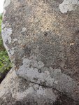 DSC03009