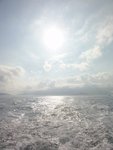 DSC03102
