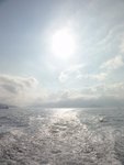 DSC03104