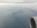 DSC05239