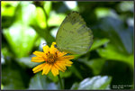 9A4S1556 copy