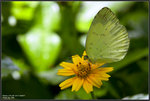 9A4S1557 copy