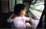 P1020095_copy