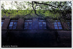 IMG0005 copy