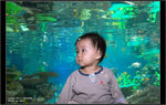 9A4S0337 copy
