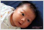 IMG_5528_resize