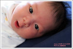 IMG_5558_resize