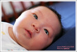 IMG_5560_resize