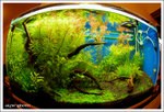 DSCF0186 copy