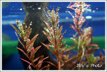 IMG_6496a