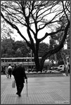 DSC_1222 copy