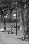 DSC_1227 copy