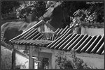 IMG_2578 copy