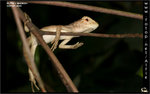 IMG_8164a