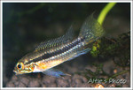 IMG_0434a