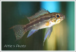 IMG_0959a