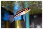 IMG_1592a