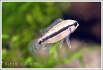 IMG_5056b