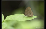 9A4S0475 copy
