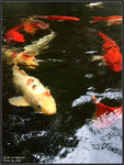 DSCF0037