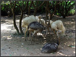 DSCF0087