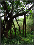 DSCF0095