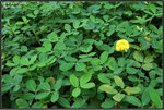 DSCF0107