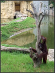 DSCF0122