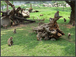 DSCF0133