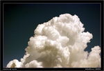 IMG_0536 copy