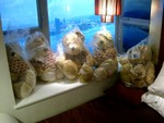 Teddy Family!!