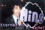 hinscardboard01