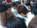 DSC00085