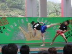 DSCN0513