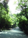 DSC03490