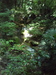 DSC03491