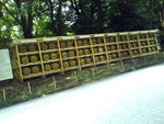 DSC03493