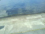 DSC03864