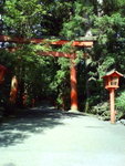DSC03866