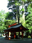 DSC03867