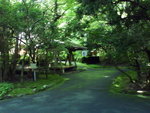 DSC03870