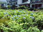 DSC03889