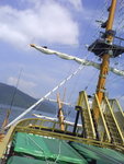 DSC03922