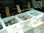 DSC04174