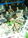 DSC04181