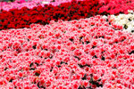 DSC_0502small