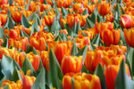 DSC_0548small