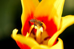 DSC_0559small