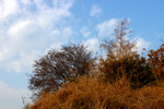 DSC_6203